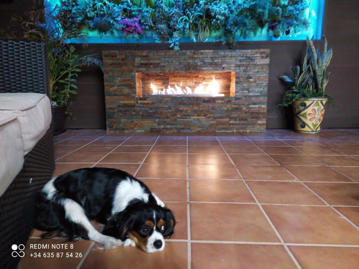 3 Bdr House Near La Zenia Private Lounge Terraces, Fire Places, Bbq, Kitchen, Parking Orihuela Ngoại thất bức ảnh